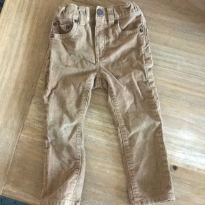 Crewcuts tan cords
